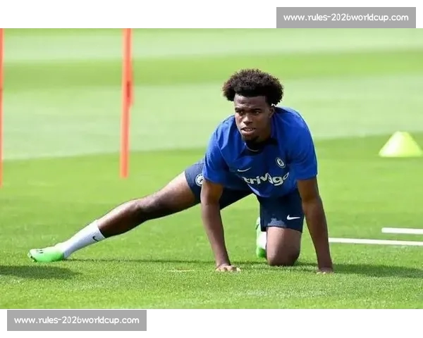 楚克乌梅卡留队至世俱杯后，多特与切尔西达成转会协议