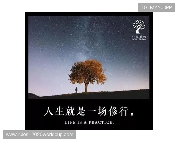 巅峰之下，专注自成光芒 —— 大满贯冠军的自我修行法则